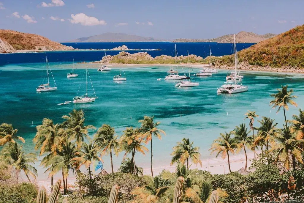 Pristine Caribbean beach with palm trees and crystal water